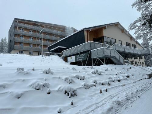 a group of birds in the snow in front of a building at Sporthotel Olympia in Stachy