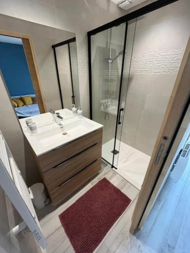 une salle de bain avec un lavabo et une douche dans l'établissement Idéal vacances en famille, à Bretignolles-sur-Mer