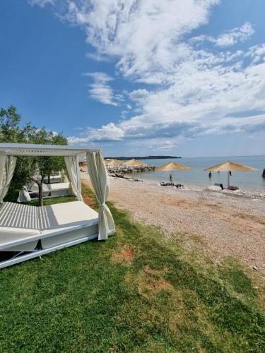 Apartment Golden Sun Mareda Novigrad, Istria, Croatia