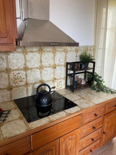 a kitchen with a stove with a pot on the counter at Lali's Country House in Amaliás