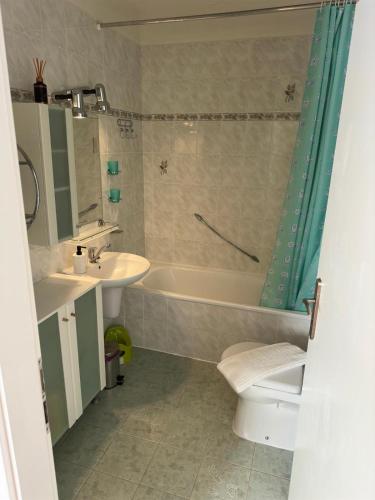 a bathroom with a tub and a toilet and a sink at Slunečná Lada in Borová Lada