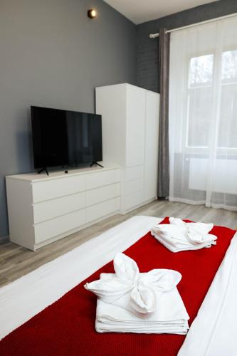 TV a/nebo společenská místnost v ubytování Spring Apartments Karlovy Vary
