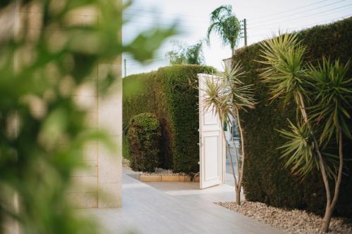 Κήπος έξω από το Hyperion Boutique Villa