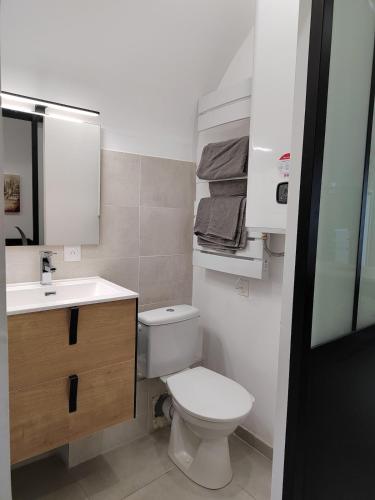 a small bathroom with a toilet and a sink at Agréable studio à 5min du tram in Saint-Jean-de-Védas