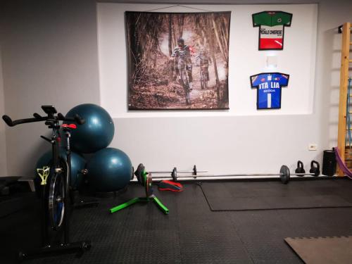 a room with a gym with a bike and balls at Villa Sant'Anna, Appartamento con palestra in Trofarello