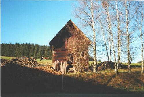 an old barn sitting in a field next to a fence at Gemütlicher Schwarzwälder Kornspeicher Korni am Griesbachhof in Titisee-Neustadt