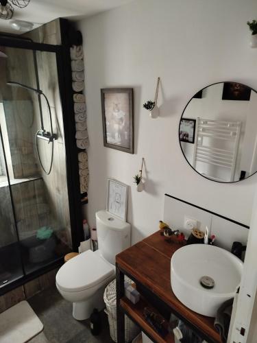 une salle de bain avec toilettes, lavabo et miroir dans l'établissement Le saint vivien, à Saint-Vivien