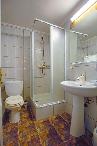 a bathroom with a shower and a toilet and a sink at Hotel Alexandros Busteni by Genco & Restaurant Miorita in Buşteni
