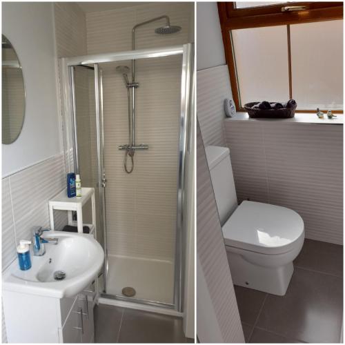 a bathroom with a shower and a toilet and a sink at Sheepviewhouse Jamie in Kilgarvan