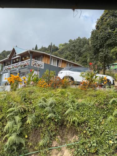 Un jardín fuera de Pine Forest Retreat