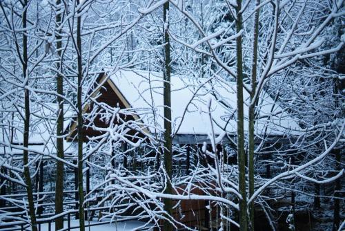 a house covered in snow in front of trees at Qingcheng Mount SuXi Qingshan Forest Hotel in Chongzhou