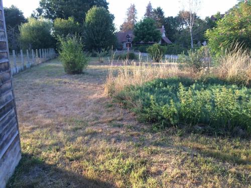 Photo de la galerie de l'établissement Maison lumineuse au calme avec grand terrain clos, à La Ferté-Imbault