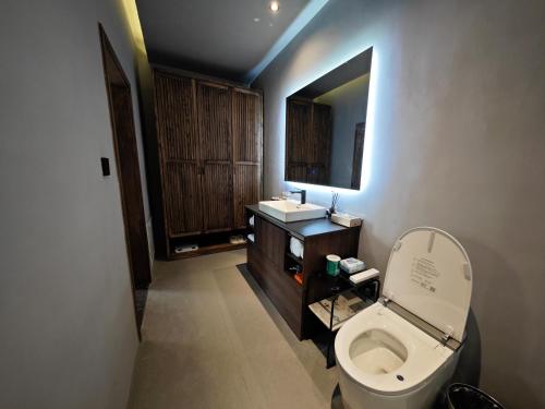 a bathroom with a toilet and a sink and a mirror at Qingcheng Mount SuXi Qingshan Forest Hotel in Chongzhou