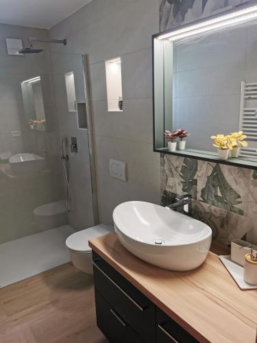 a bathroom with a white sink and a toilet at Apartma Mia Nadiža in Kobarid