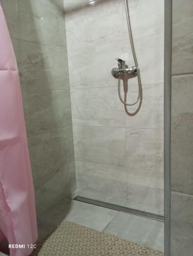 a shower with a glass door in a bathroom at Біля Річки in Kvasy