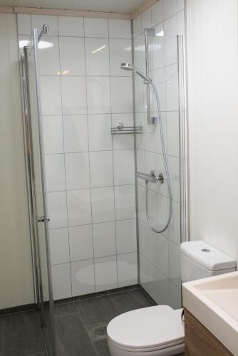 a bathroom with a shower with a toilet and a sink at Amberfish in Tromsø