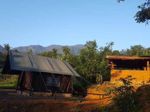 Příroda nedaleko luxury tent