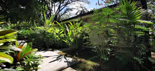 a garden with trees and plants in front of a building at Casa Remy - Walk to the Beach and stay in a private compound! Pool, Kitchen, AC, Wi-Fi in Mal País