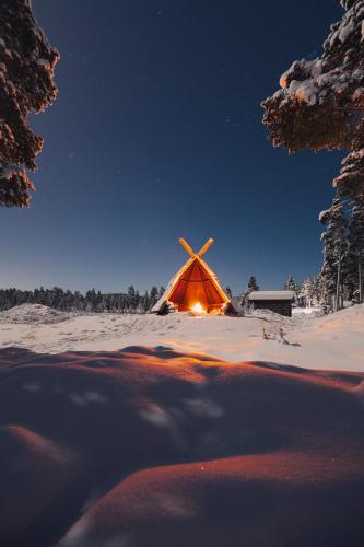 Star Arctic Hotel & Activities semasa musim sejuk