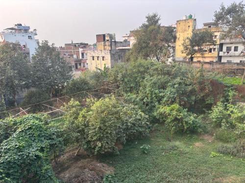a group of trees and buildings in a city at The Bodhgaya Guest House in Bodh Gaya