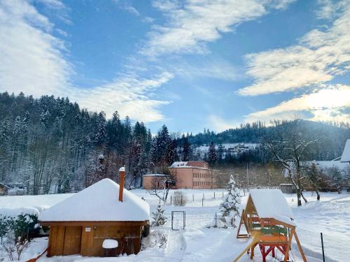 a snow covered yard with a house and a building at Willa i domki Victoria in Wisła