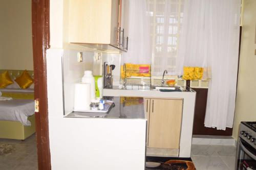 Η κουζίνα ή μικρή κουζίνα στο Pazuri casa 2 bedroom apartment