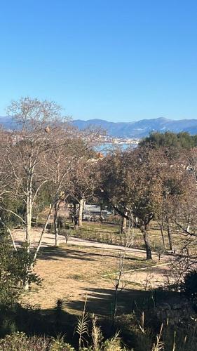a group of trees in a field with mountains in the background at Appartement vue mer accès plage in Antibes
