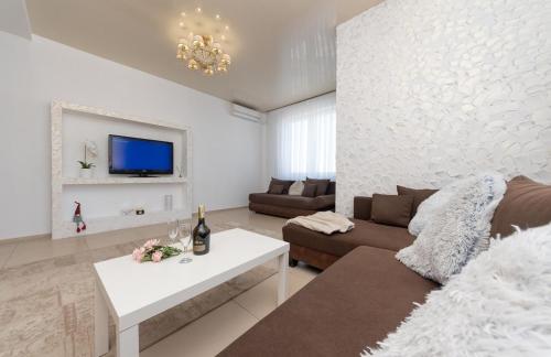 a living room with a couch and a tv at Apartment Obolon Natalka Park in Kyiv