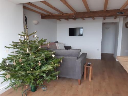 a christmas tree in a living room with a couch at Jasmine Cottage in Shrewsbury