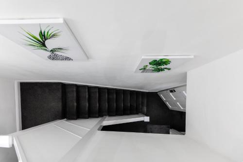 a room with two plants on the ceiling at Deluxe studio Apartments - City Airport & Excel Ideal for Long stay in London