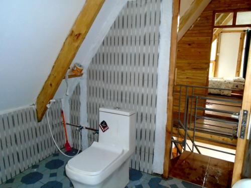 a bathroom with a white toilet in a room at Chameleon Eco Farm Stay and Cultural Tours in Lushoto