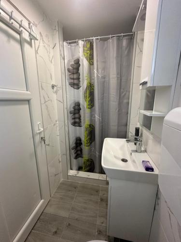 a bathroom with a shower and a toilet and a sink at Apartman Rim 