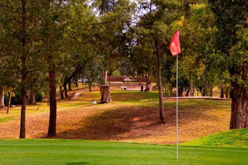 a golf course with a red flag in a park at Residence Inn Phoenix Mesa in Mesa