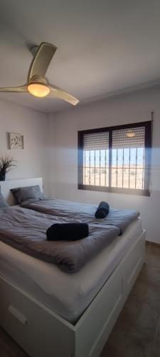 Apartment with Large Private Terrace & Pool - Torrevieja PMT09
