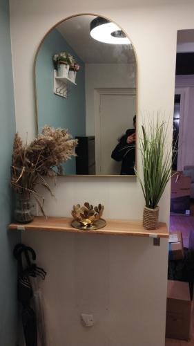 - un miroir au-dessus d'un comptoir dans une chambre dans l'établissement Chambre chez l'habitant à Paris centre, à Paris