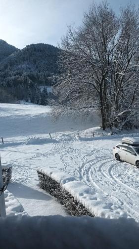 Photo de la galerie de l'établissement Le Marmo' Bouille aux Pieds des pistes et des départs de rando, à Bernex