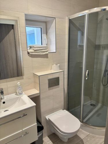 a bathroom with a shower and a toilet and a sink at Agroturystyka pod lasem in Brzeźnica