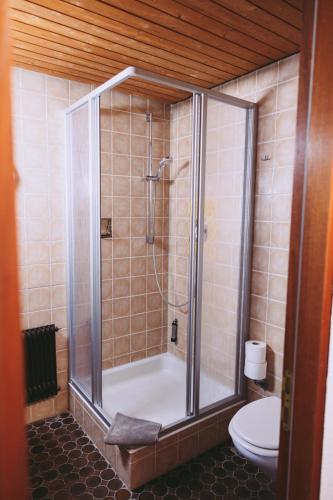 un bagno con doccia e WC di Hochdorfer Brauhaus Krone a Nagold