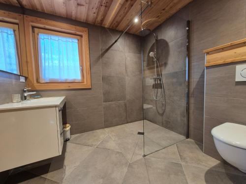 une salle de bain avec une douche, des toilettes et un lavabo dans l'établissement Le Petit Chalet Villaret - App 6 pers - proche La Rosière, à Montvalezan