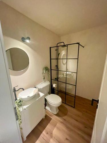 a bathroom with a toilet and a sink and a mirror at Meerliebe in Cuxhaven