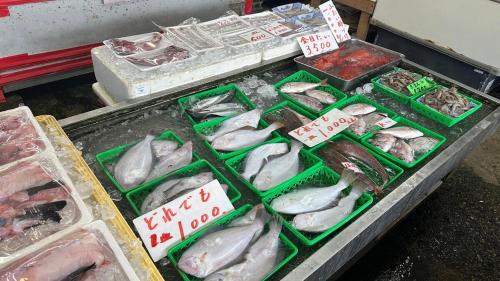 a display of fish for sale at a fish market at Eastern sunrise home Valuable historical Japanese-style exclusive 4mins to ocean in Choshi
