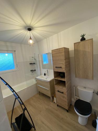 une salle de bain avec un lavabo, des toilettes et une douche dans l'établissement Cocon au cœur de l'Alsace, à Horbourg-Wihr