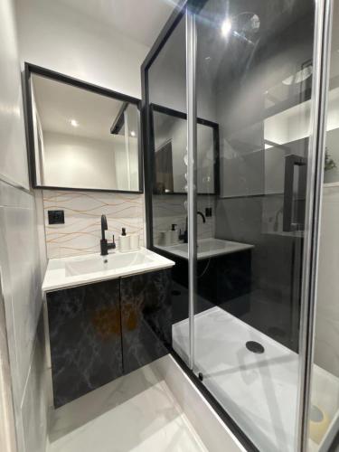 une salle de bain avec un lavabo et une douche dans l'établissement Comfortable Apartment in Bondy - 2 Bedrooms, à Bondy