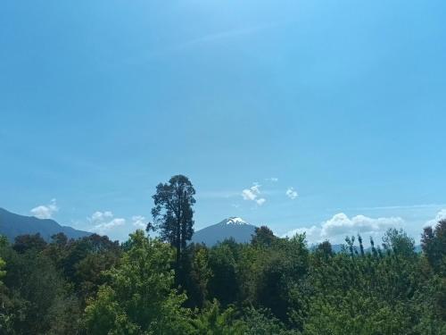 a mountain in the distance with trees in the foreground at Cabaña Hornopiren 1 in Hornopiren