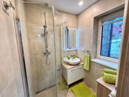 a bathroom with a sink and a shower at Apartmán Orech in Belá
