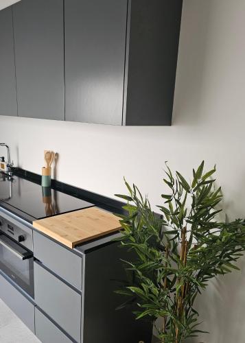 a kitchen with a plant sitting next to a stove at City Center Villa in Faro