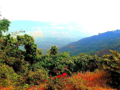 a view of a mountain with trees and red flowers at Kavyam Villa in Mahabaleshwar