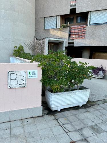 a couple of potted plants on a wall in front of a building at B&B Birba in Rome