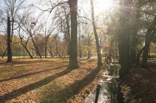 a path in the park with trees and leaves at HOTEL I RESTAURACJA BROCHÓW in Wrocław