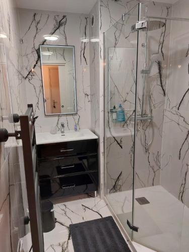 une salle de bain avec une douche, un lavabo et un miroir dans l'établissement Appartement avec balcon au pied du port, à Capbreton
